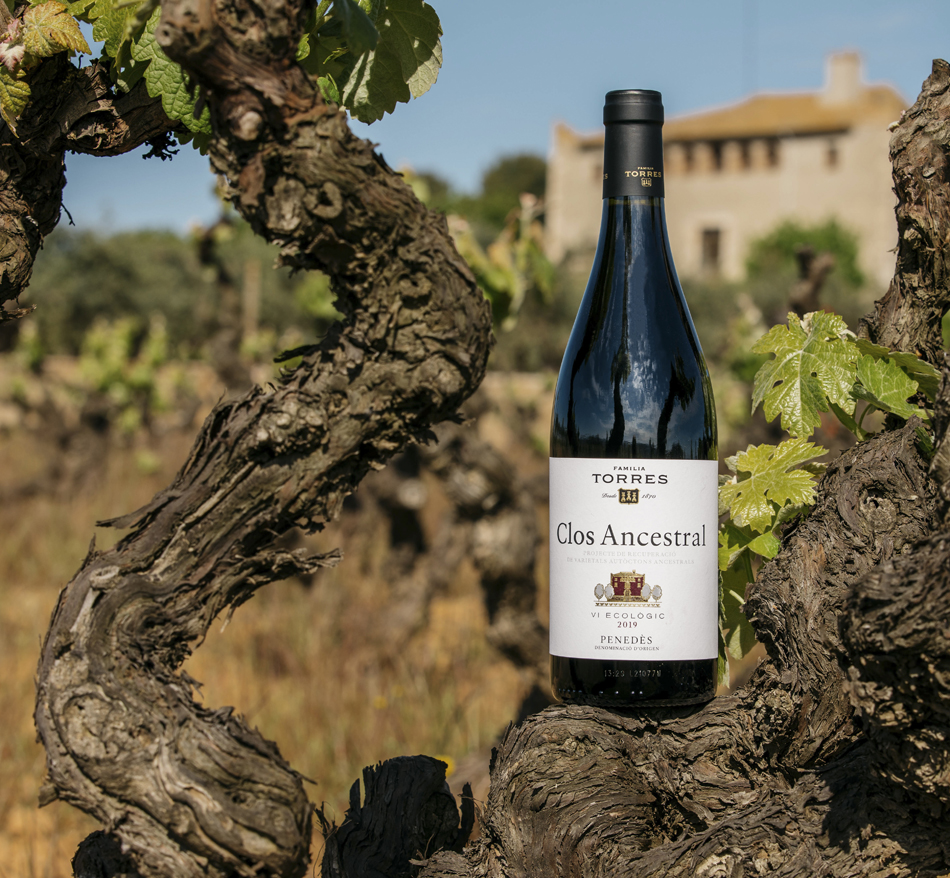 Clos Ancestral Red | Familia Torres